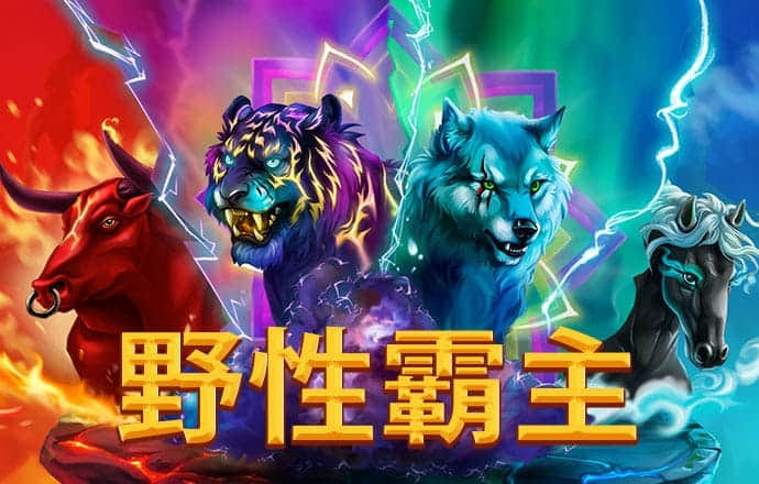 bbv体育app官网下载